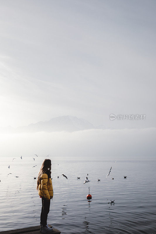 女人欣赏瑞士阿尔卑斯山，日内瓦湖和飞翔的鸟在蒙特勒