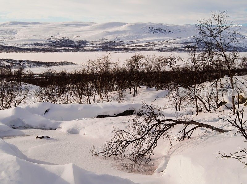 Kilpisjarvi湖周围的雪山和树木