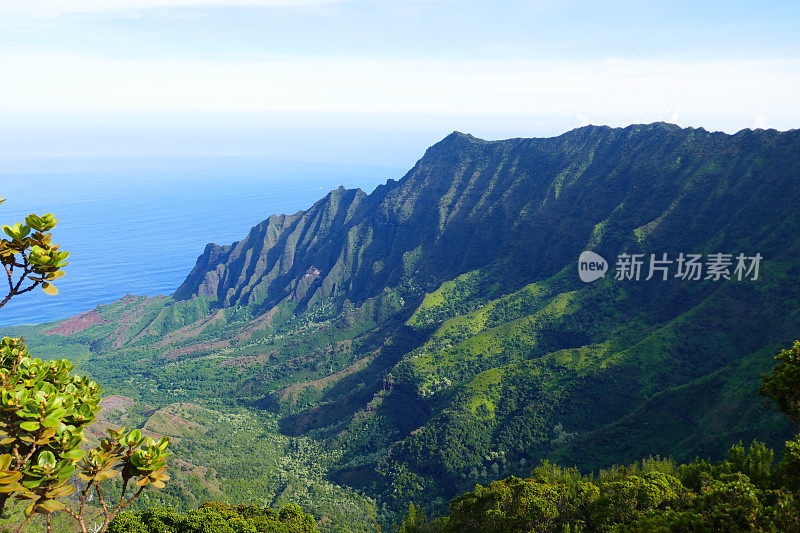 威美亚峡谷，考艾岛，美国夏威夷