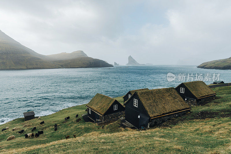 在法罗群岛的海边，屋顶覆盖着苔藓的村庄的风景