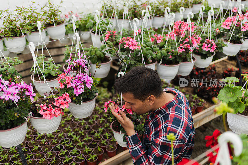 一个年轻的男性花商在花房工作的肖像