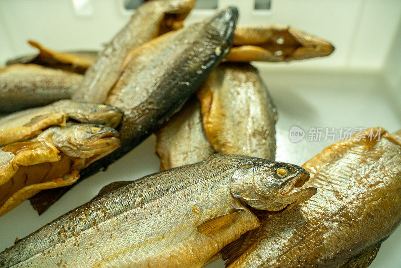 鲑鱼鳟鱼在工业鱼类生产设施的案例