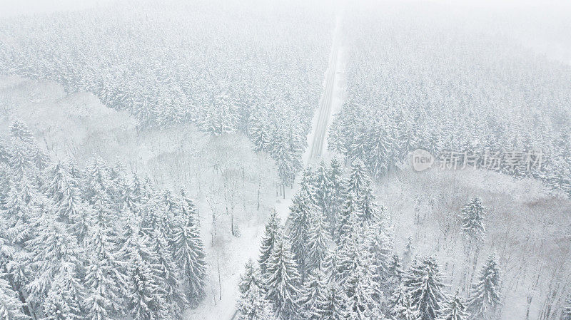 在深冬风暴中，白雪覆盖的树木和白雪之间的森林道路