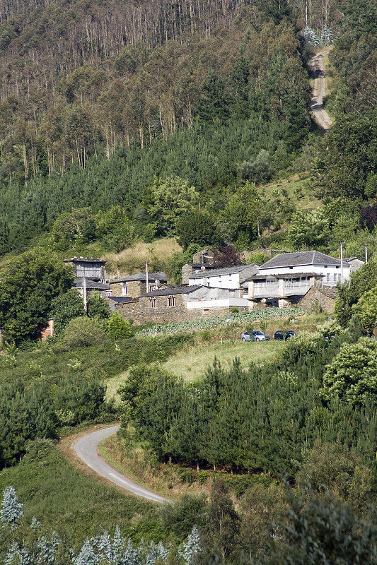 小村庄位于绿油油的山村，乡间小路。