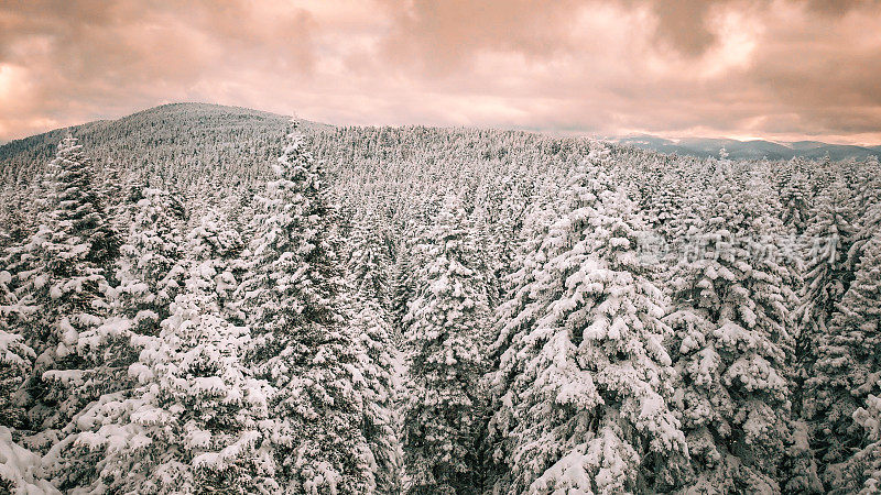 冰冻的冬季森林，日落时的雪林鸟瞰图，雪山上的森林鸟瞰图，雪树景观，冬季森林景观，冬季休闲场景，阳光明媚的雪季，橙色的天空