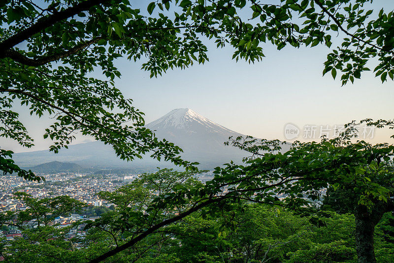 春天的富士山