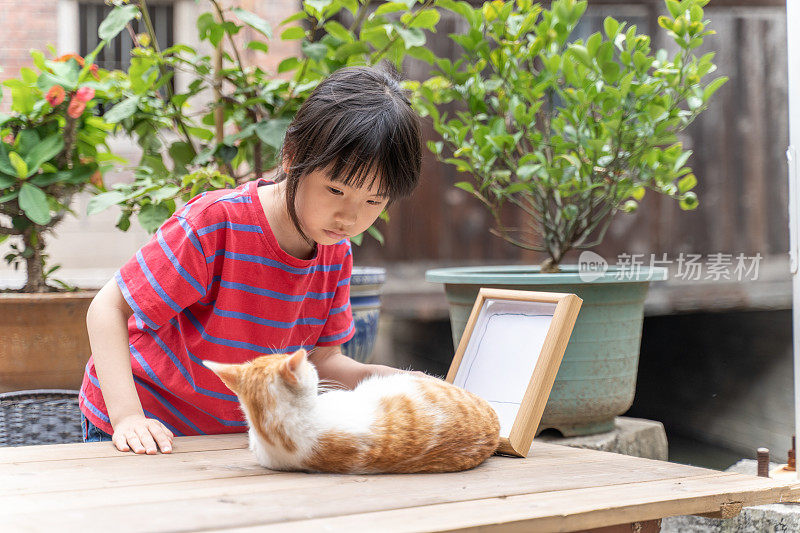 一个亚洲小女孩在桌子上抚摸着一只宠物猫