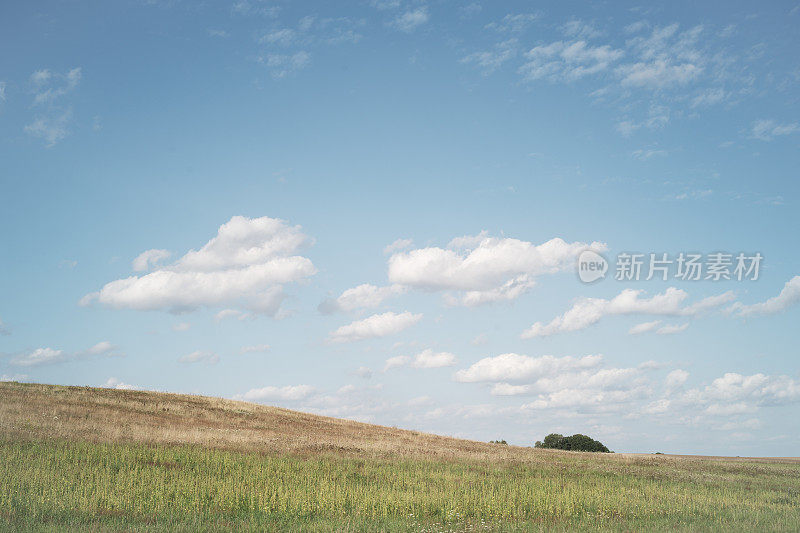 梅克伦堡-前波莫瑞州的休耕土地