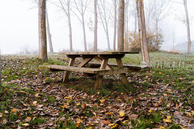 秋天户外公园里的木桌