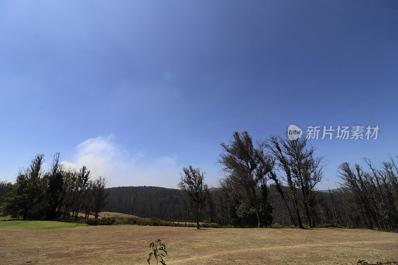 印度泰米尔纳德邦乌蒂山谷晴朗天空下的风景。