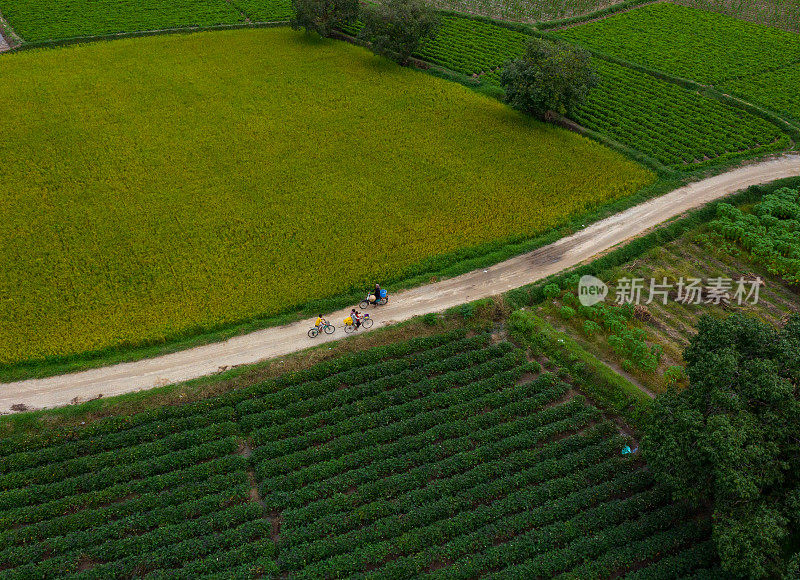 安江省一条穿过稻田和菜地的乡村公路的航拍照片