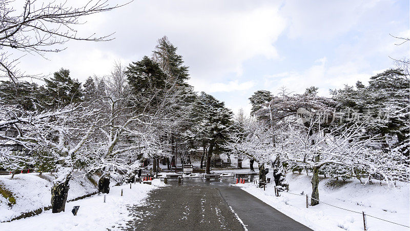 冬季仙境:雪路和公园
