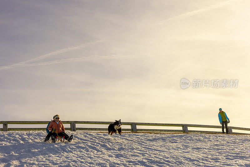 快乐的老夫妇乘着雪橇在雪坡上滑行，宠物狗在旁边奔跑