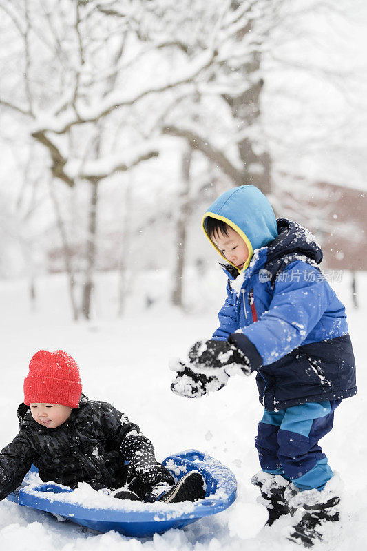 冬天，小男孩在户外的雪地里坐雪橇