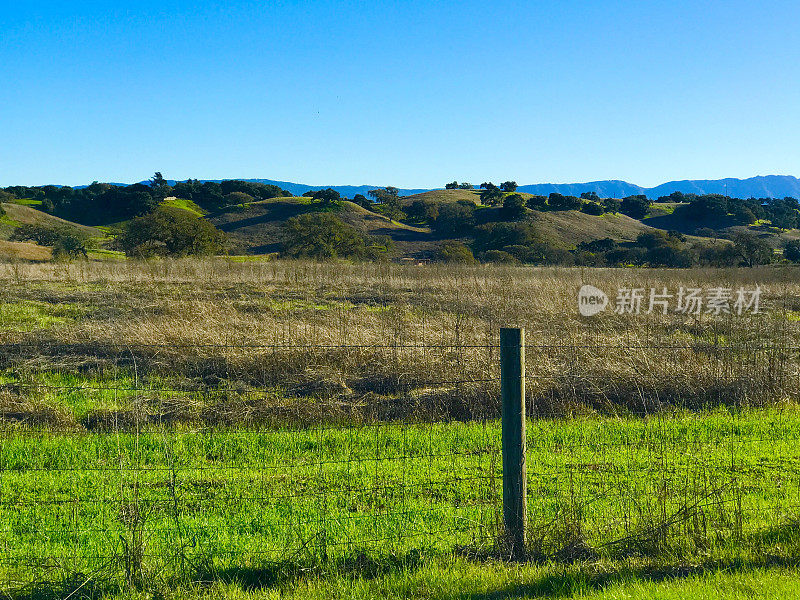 加州中部海岸景观