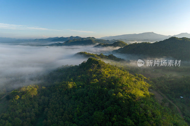 清晨的风景，金色的光线，日出，雾气笼罩着森林。