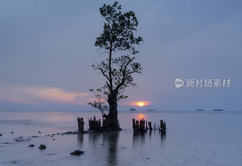 巴东尼瓦纳海滩黄昏全景