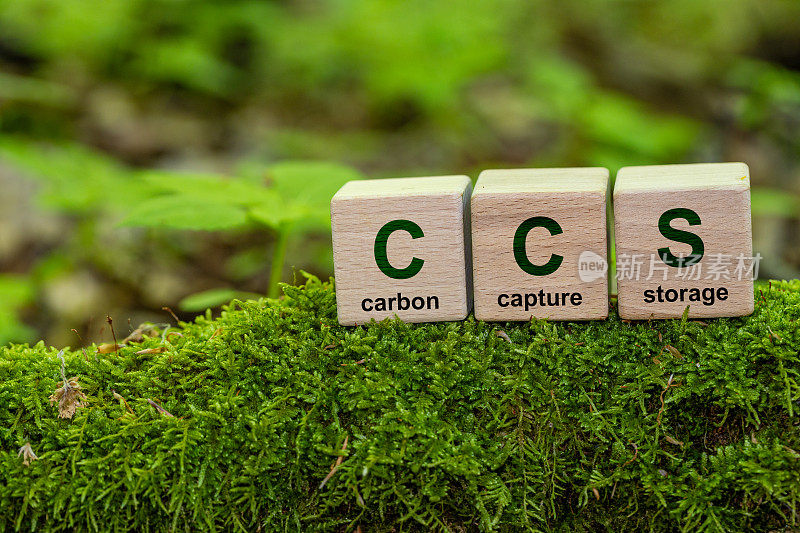 符号CCS碳捕集存储词CCS在一个木立方体上的环境背景。净零行动概念。绿色能源，减少碳足迹;节约能源，减少二氧化碳。