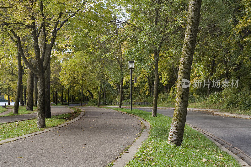 秋天的公园大道