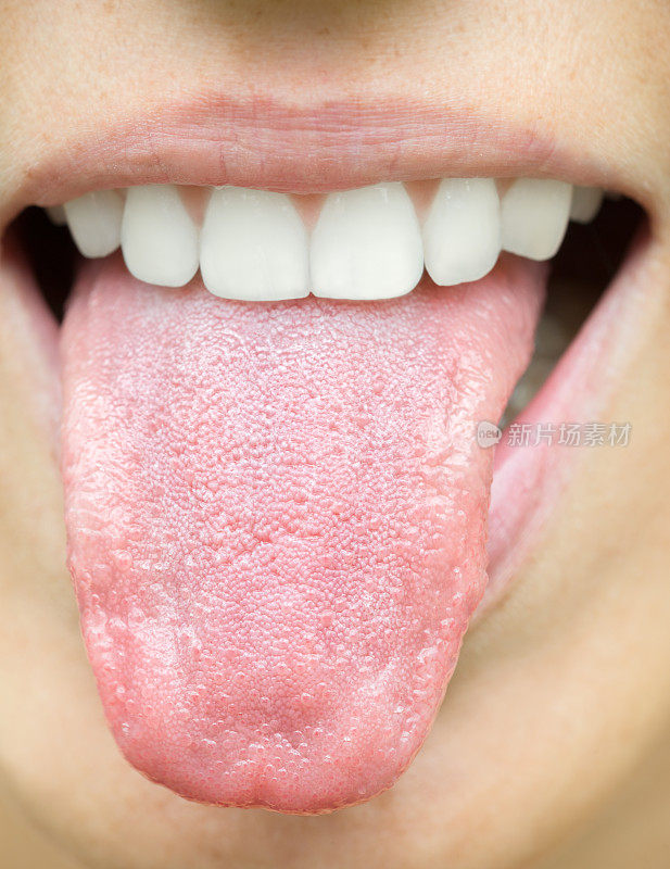 人类的舌头