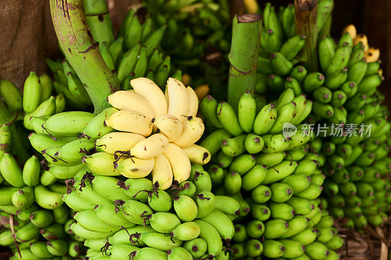 斯里兰卡出售香蕉