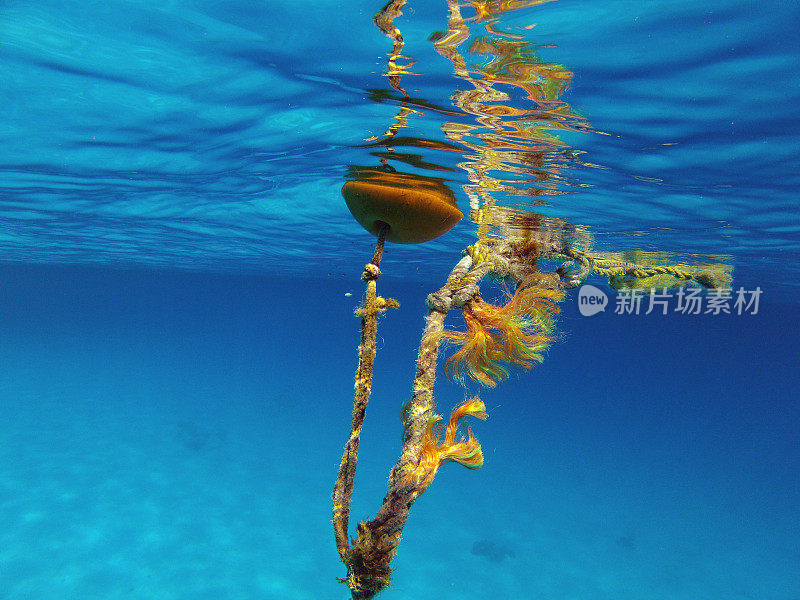 浮标水下图像