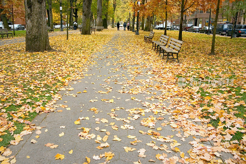 秋季的波特兰公园街区