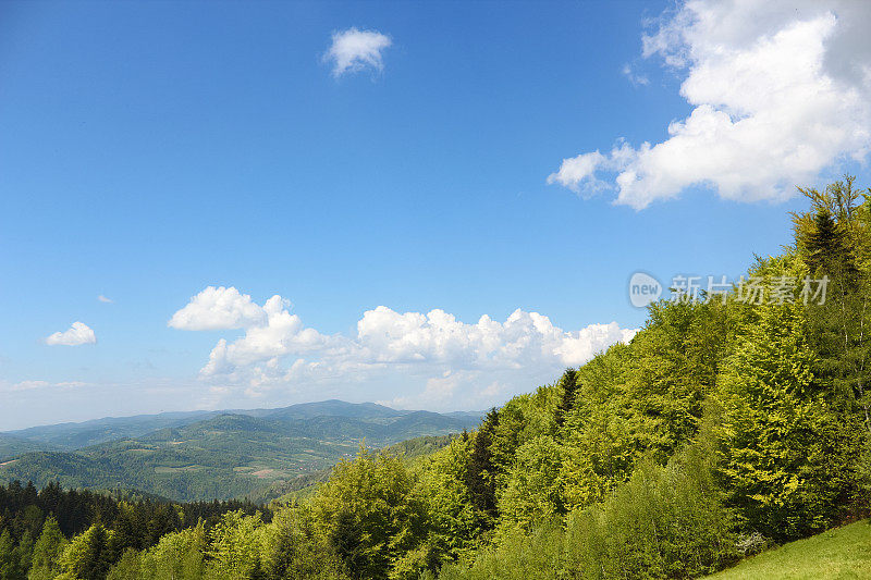 五月的山景。Beskid,波兰。