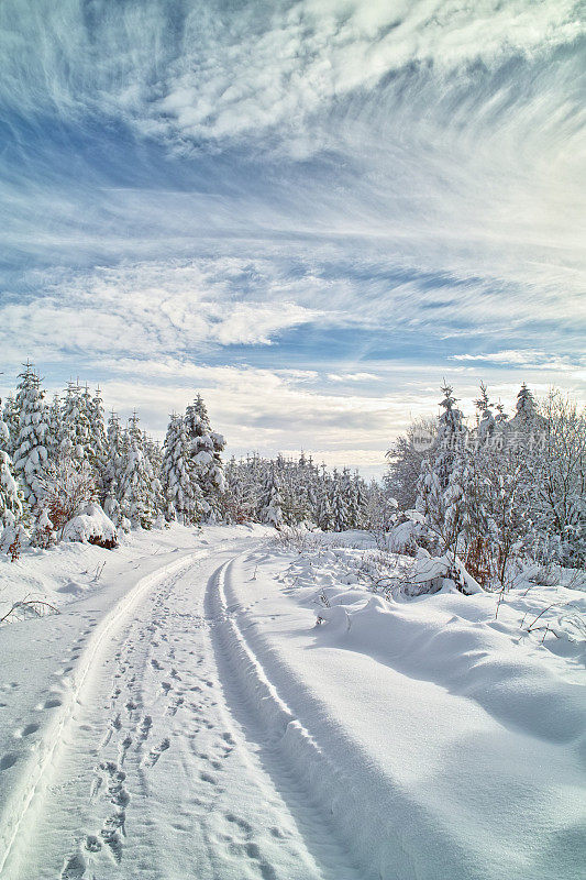 下雪的冬天的风景