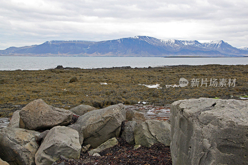 冰岛:Seltjarnarnes的农村地区