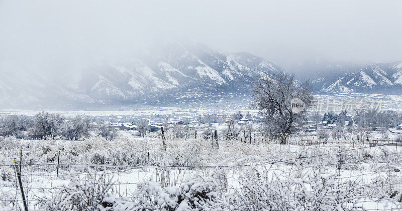 冬季雪暴风雪瓦萨奇山脉景观-美国犹他州