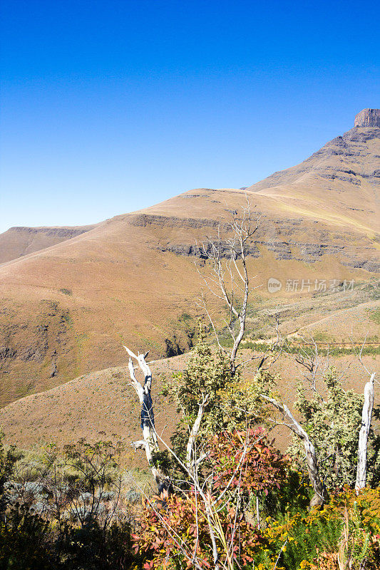 南非夸祖鲁-纳塔尔省的萨尼隘口