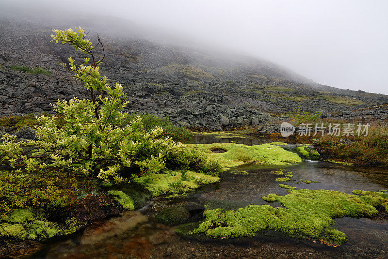 希比尼山脉的山地景观