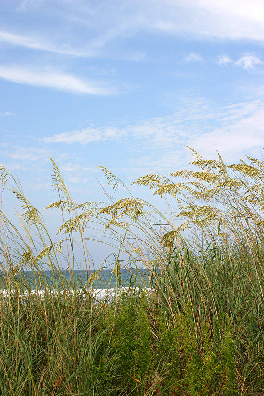 海滩和海滨