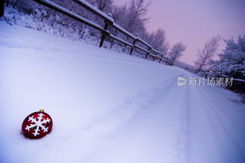 雪中的点缀