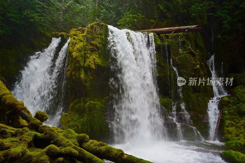 杰弗逊山野生瀑布