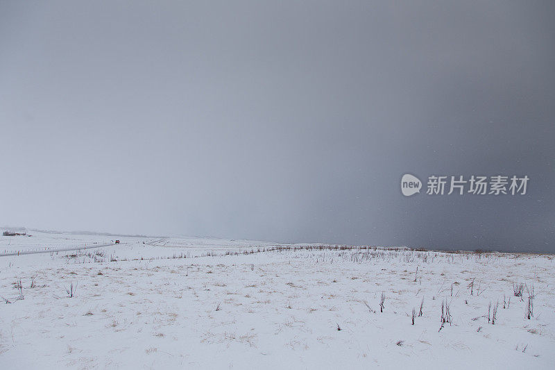 冰岛的冬季雪景