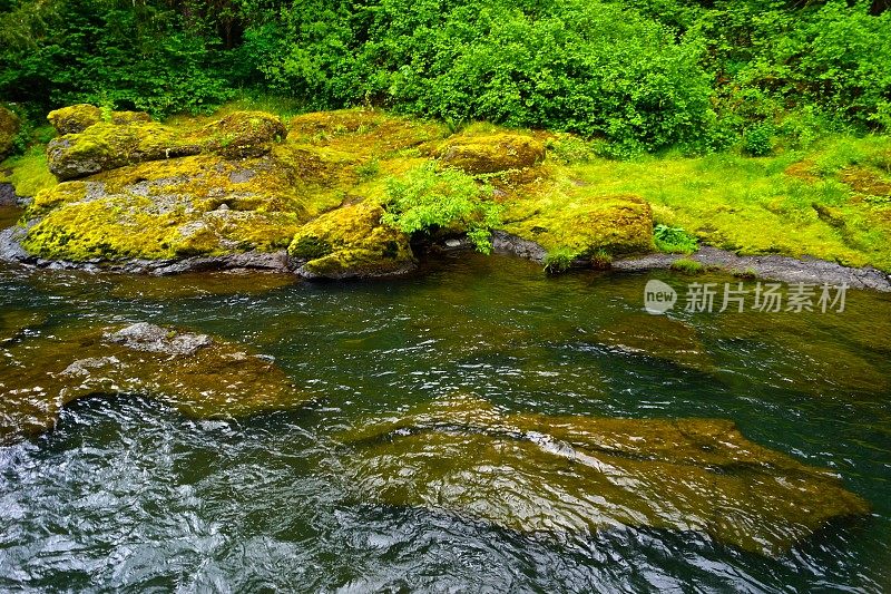 Calapooia河流岩石