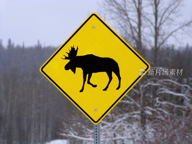 黄驼鹿十字标志道路交通安全高速公路旅行警告