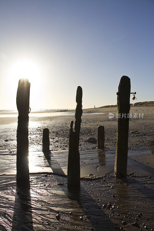 Spurn最尖端