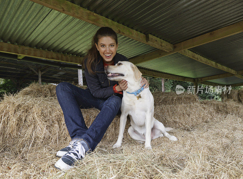 黄色拉布拉多犬在干草谷仓和俄罗斯户外女孩