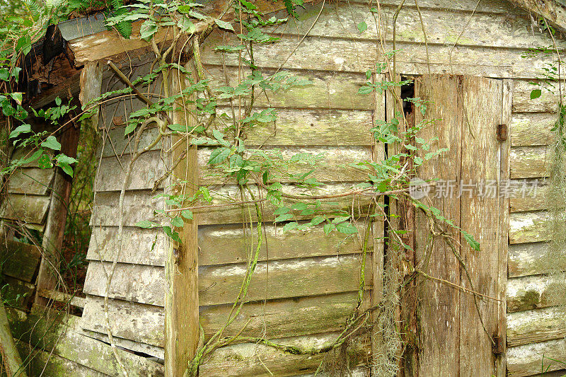 木头小屋