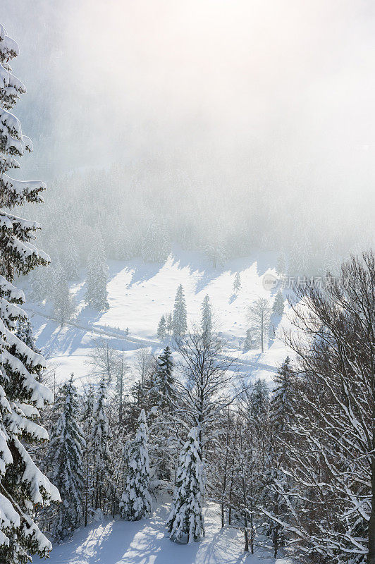 山谷之景