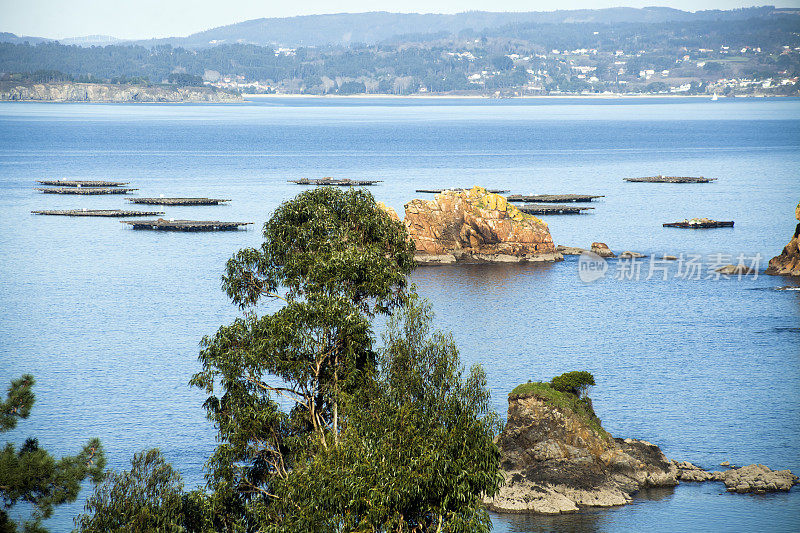渔船和“蝙蝠”系泊在Lorbe附近，一个Coruña省，加利西亚，西班牙。