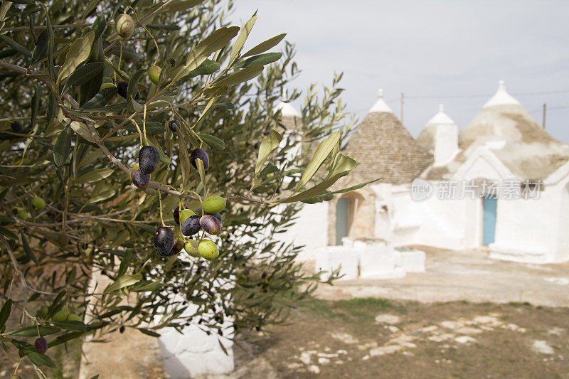 意大利古董屋“Trulli”