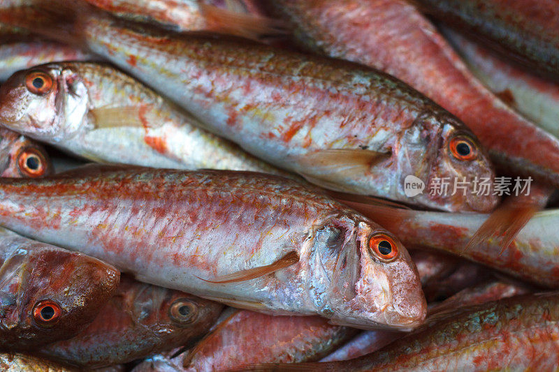 市场里的新鲜生地中海红鲻鱼(特写)