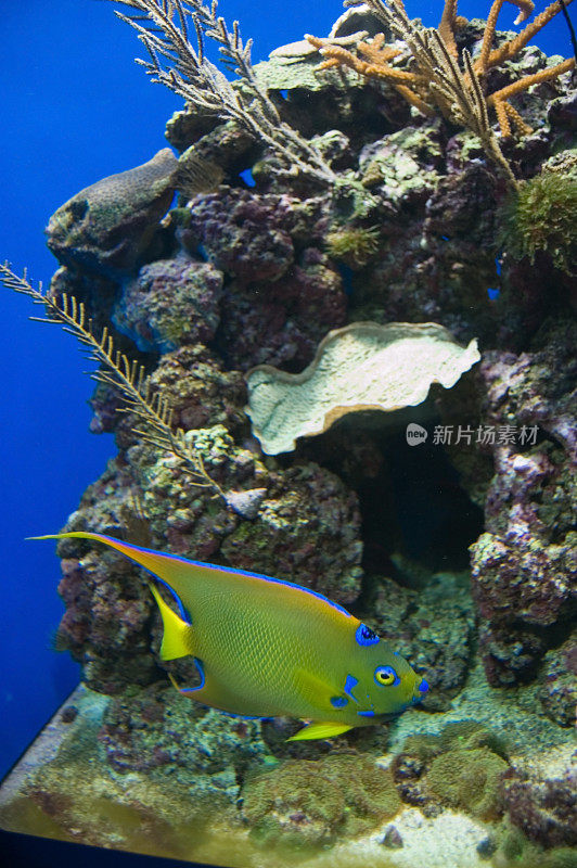 热带水族馆