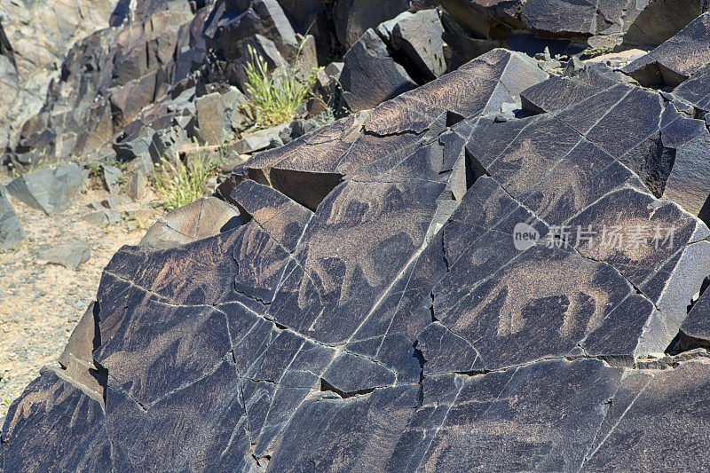 哈萨克斯坦坦加里的古岩画