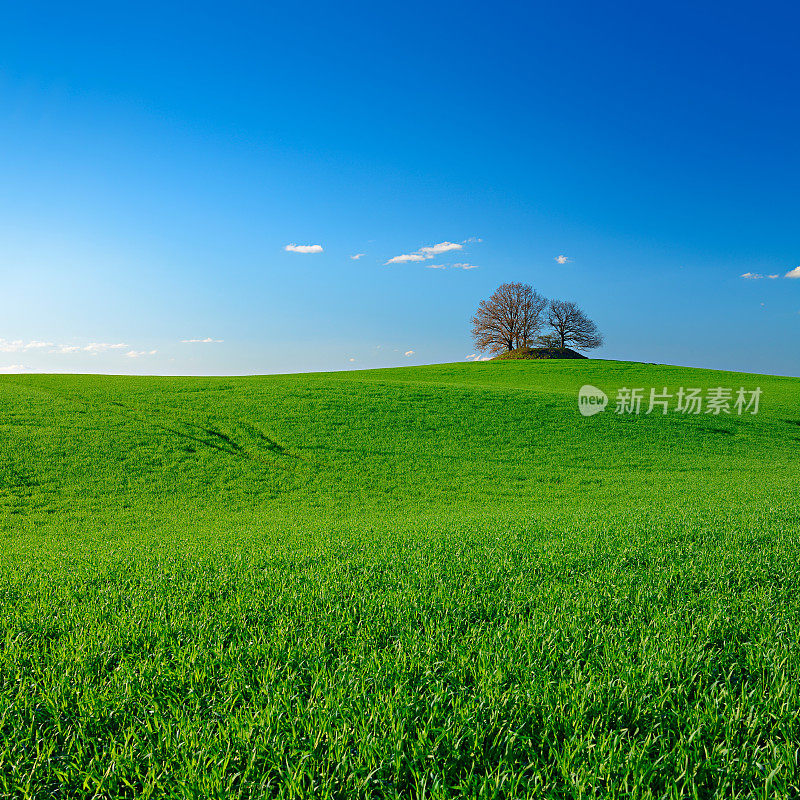 春田景观中的史前坟堆