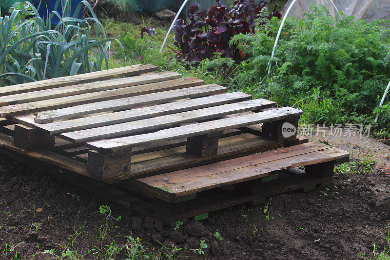 图像分配蔬菜花园植物，托盘木板，板条